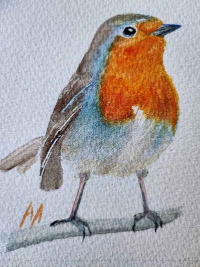 Charmanter Aquarell-Rotkehlchen von Annette Armitage