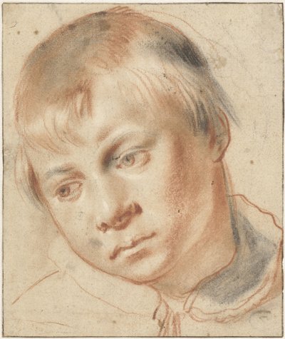 Studie eines Jungenkopfes von Annibale Carracci (attributed to)