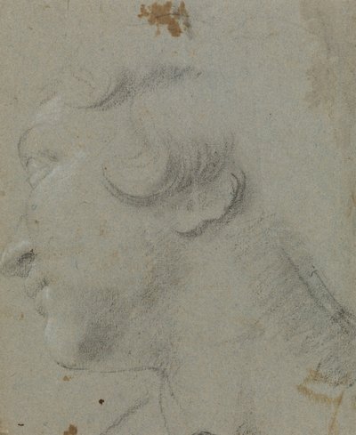 Carracci - Kopf der heiligen Katharina, RCIN 902115 von Annibale Carracci