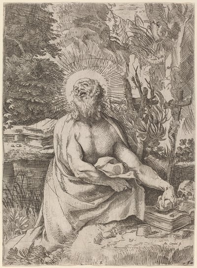 Heiliger Hieronymus in der Wildnis von Annibale Carracci