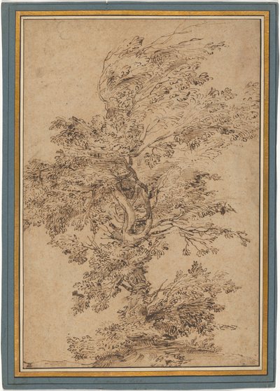 Studie eines Baumes von Annibale Carracci