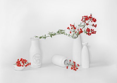 Minimalistische Rote Beerendarstellung von Annie Poreider