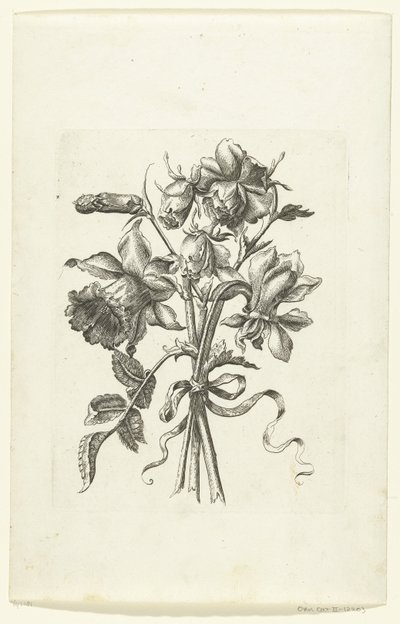 Drei Blumen, darunter eine Narzisse und eine Nelke von Anonymous