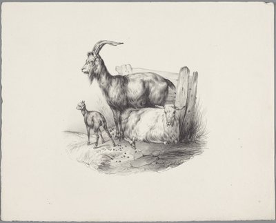 Eine Ziege, ein Bock und ein Lamm von Anonymous