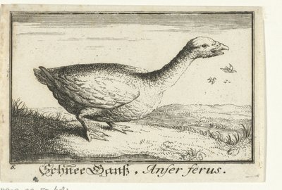 Landschaft mit Wildgans von Anonymous