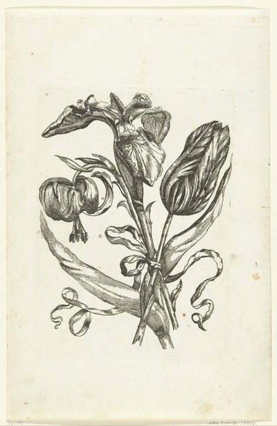 Lilie, Iris und Tulpe von Anonymous