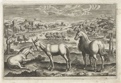 Pferd und Esel von Anonymous