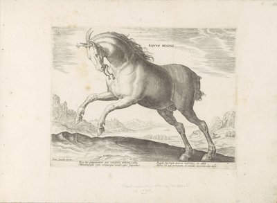Pferd der Rasse Equus Regius (der Königliche) von Anonymous
