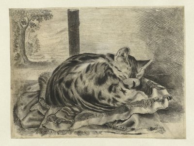 Schlafende Katze von Anonymous