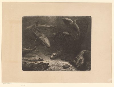 Hecht, Rochen, Plattfisch, Krabbe, Aal und andere Fische von Anonymous