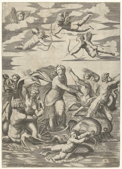 Triumph der Galatea mit Tritonen und Nereiden und Putti von Anonymous
