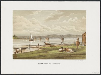 Waalbrücke bei Zaltbommel, 1869 von Anonymous