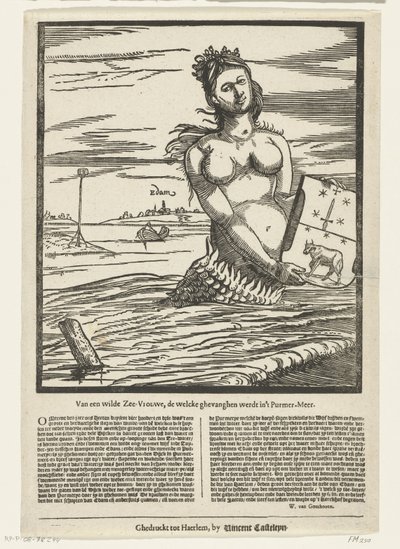 Meerjungfrau von Edam, 1403. Von einer wilden Meeresfrau, die im Purmer-Meer gefangen wurde (Titel auf dem Objekt) von Anonymous