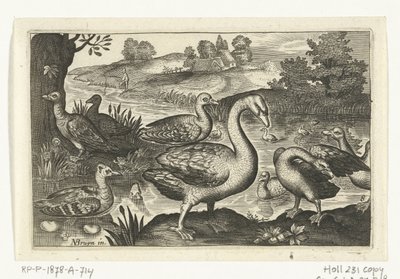 Schwan und Gänse und Enten von Anonymous