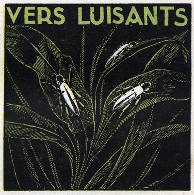 Phosphoreszenz: Leuchtendes Grün. Anonyme Illustration von 1925. Private Sammlung. von Anonymous Anonymous