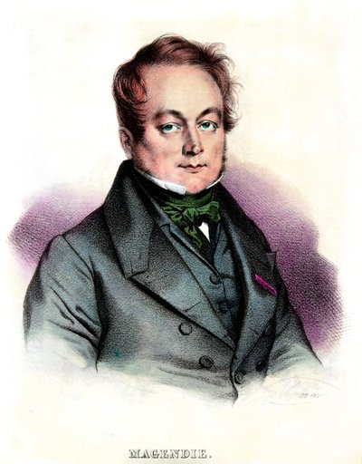 Porträt von Francois Magendie (1783-1855) Arzt und Physiologe, Private Sammlung von Anonymous Anonymous