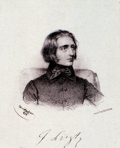 Porträt des ungarischen Komponisten Franz Liszt. Gravur. 19. Jahrhundert. Mailänder Privatsammlung von Anonymous Anonymous