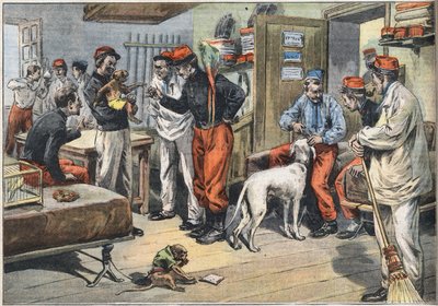 Rückkehr der französischen Soldaten aus Afrika, die nach Tunesien geschickt wurden. Gravur aus der Zeitung „Le Petite Parisien“, 7/06/1908. Private Sammlung. von Anonymous Anonymous