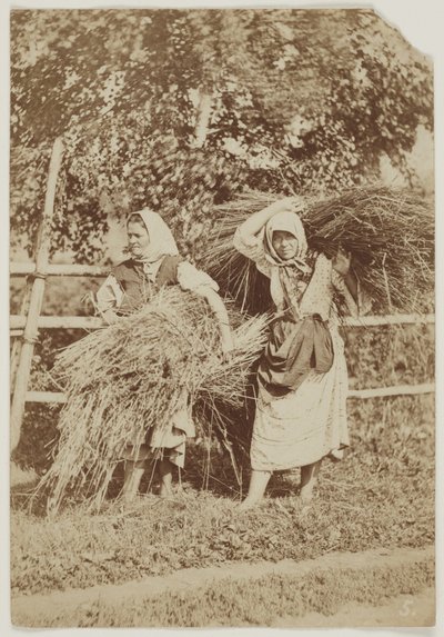 Russische Bäuerinnen, ca. 1855 von Anonymous Anonymous