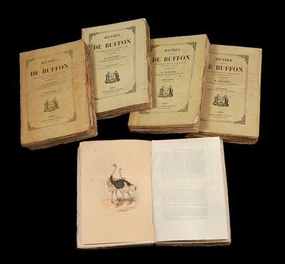 Die vollständigen Werke von Buffon (1707 - 1788) - Private Sammlung von Anonymous Anonymous