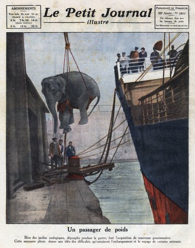 Die Ankunft eines Elefanten per Boot, der von einem zoologischen Garten nach dem Krieg erworben wurde. Illustration aus „Le petit journal illustrious“ vom 20.11.1921. Private Sammlung von Anonymous Anonymous