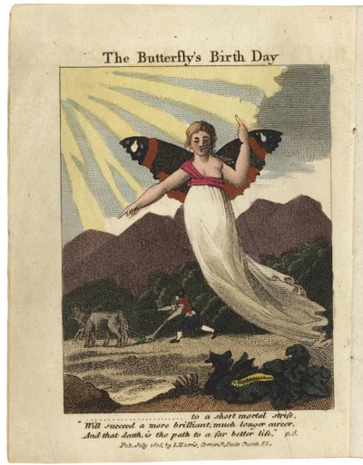 Titelseite von The Butterfly