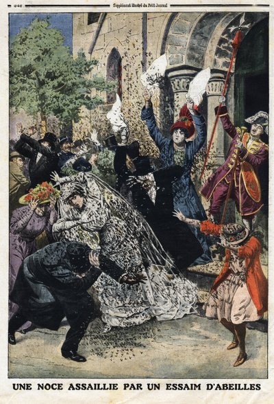 Hochzeit wurde von einem Bienenschwarm angegriffen. Gravur in „Le Petit Journal“, am 28.07.1912. Private Sammlung. von Anonymous Anonymous