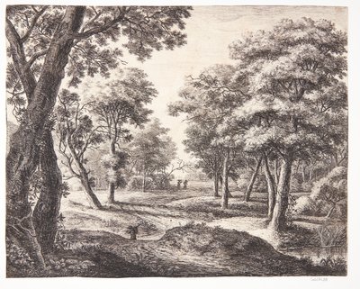 Waldweg von Anthonie Waterloo