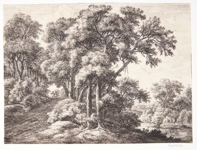 Waldweg an einem Fluss von Anthonie Waterloo