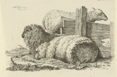 Liegendes Schaf und Widder (Studien von Kühen, Schafen und Ziegen) von Anthony Oberman