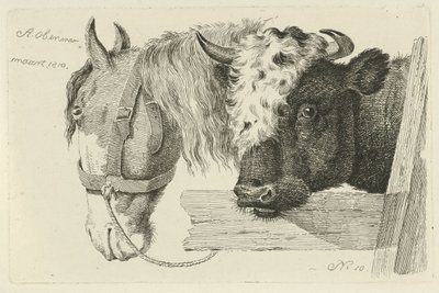 Pferdekopf und Stierkopf von Anthony Oberman