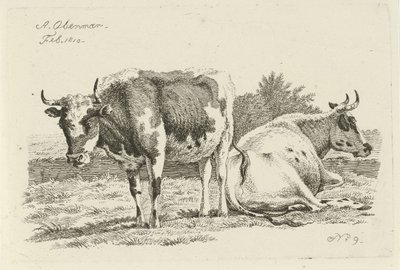 Stehende und liegende Kuh von Anthony Oberman