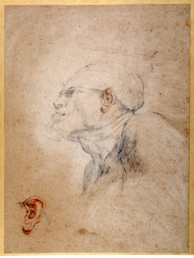 Ein Mann mit bandagiertem Kopf, sein linkes Ohr separat geübt (schwarze & rote Kreiden auf Papier) von Anthony van Dyck