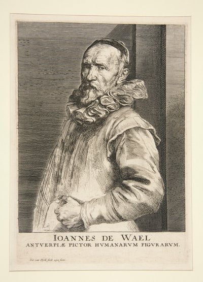 Porträt von Jan de Wael (1558-1633) von Anthony van Dyck