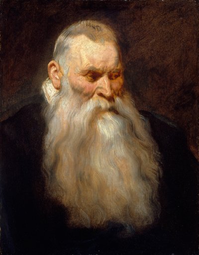 Studienkopf eines alten Mannes mit weißem Bart von Anthony van Dyck