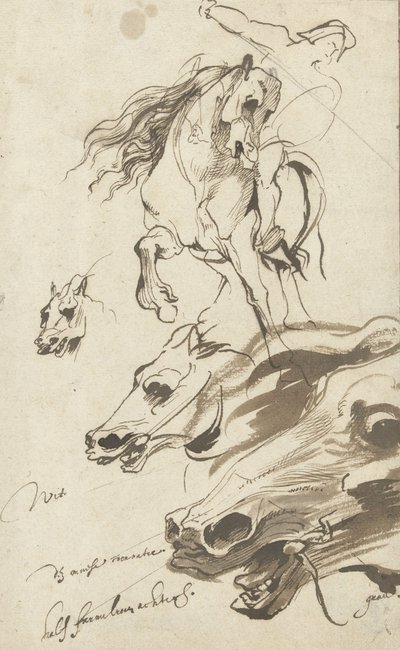 Studie eines Reiters und Kopf eines Pferdes, 1620-1621 von Anthony van Dyck