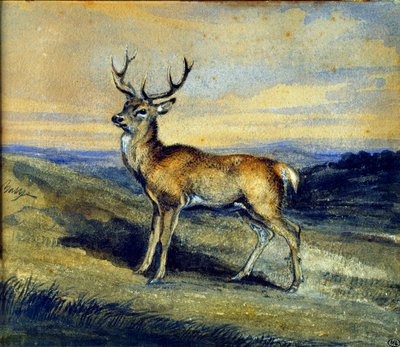 Der Hirsch von Antoine Louis Barye