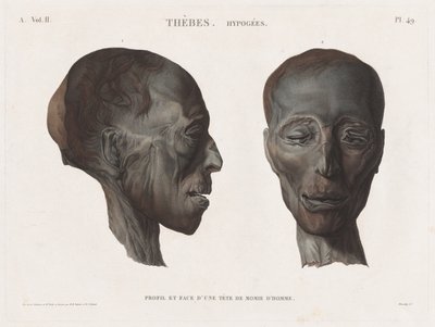 Beschreibung von Ägypten: Theben. Hypogäen Bd. II, Pl. 49 von Antoine Maxime Monsaldy