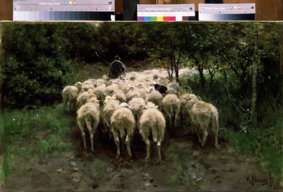 Schafe im Wald von Anton Mauve