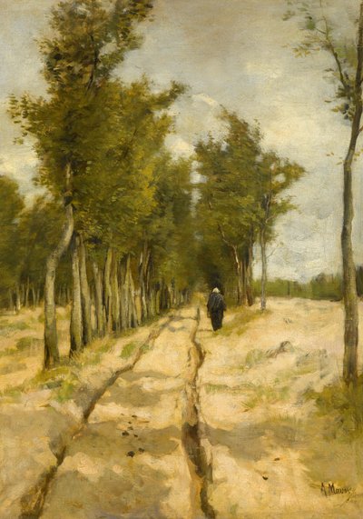 Die Torenlaan in Laren von Anton Mauve