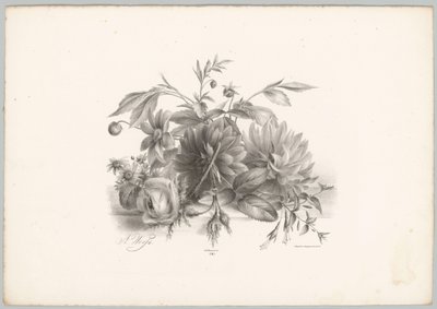 Rosen, Dahlien und Fuchsien von Anton Weiss