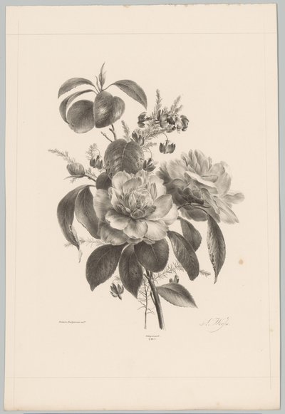 Rosen und andere Blumen von Anton Weiss
