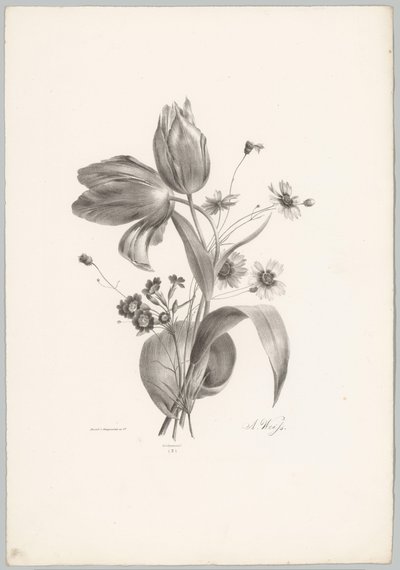 Tulpen und Margeriten von Anton Weiss