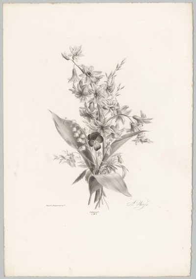 Veilchen und Hyazinthen- und Glockenblumen von Anton Weiss