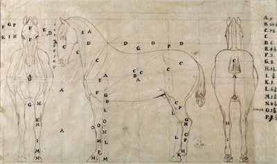 Studie für ein Pferd für ein Reitermonument von Antonio Canova