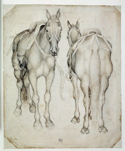 Zwei Harnische, drei Viertel gesehen, einer von vorne und der andere von hinten von Antonio Pisanello