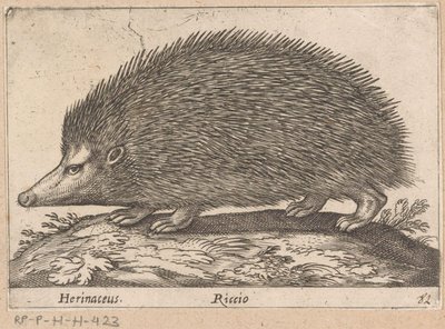 Igel von Antonio Tempesta