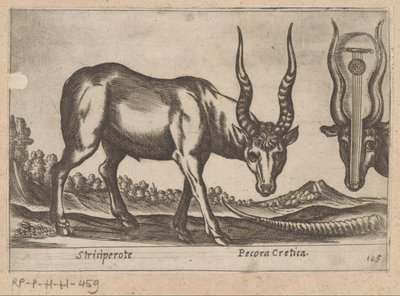 Zwei Antilopen von Antonio Tempesta