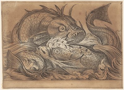 Zwei kämpfende Fische von Antonio Tempesta