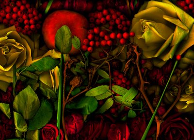 05 Magischer Garten Nr. 36 von Antonius Antonius